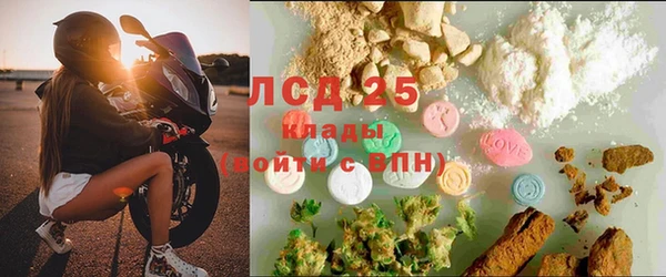 спиды Армянск
