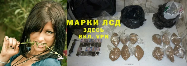 spice Арсеньев