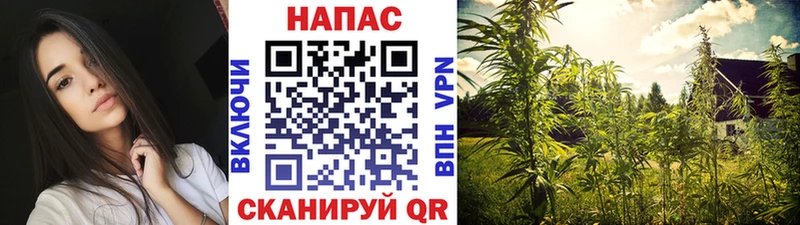Купить закладки  Миллерово  Бошки Шишки MAZAR 